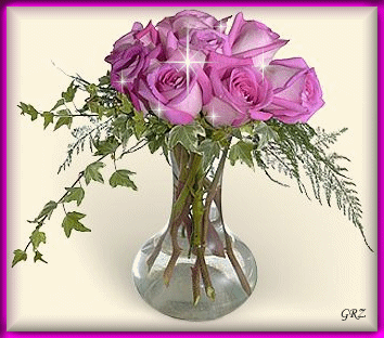 des roses  rose